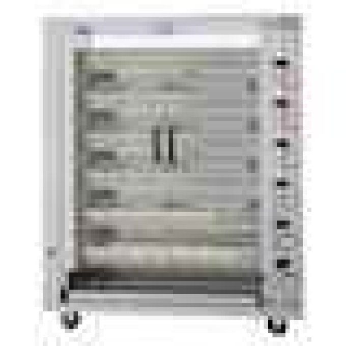 Rôtissoire à Gaz 6 Broches 24-36 poulets ARILEX 6ASG 