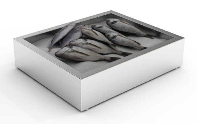 BAC À GLACE PILÉE EN CONSTRUCTION 2/1 GN