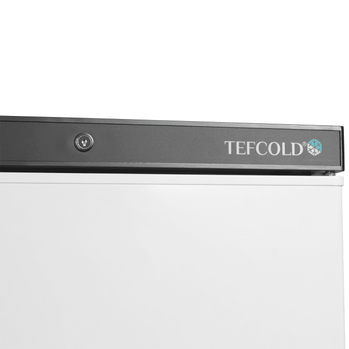 Congélateur de stockage TEFCOLD UF200V