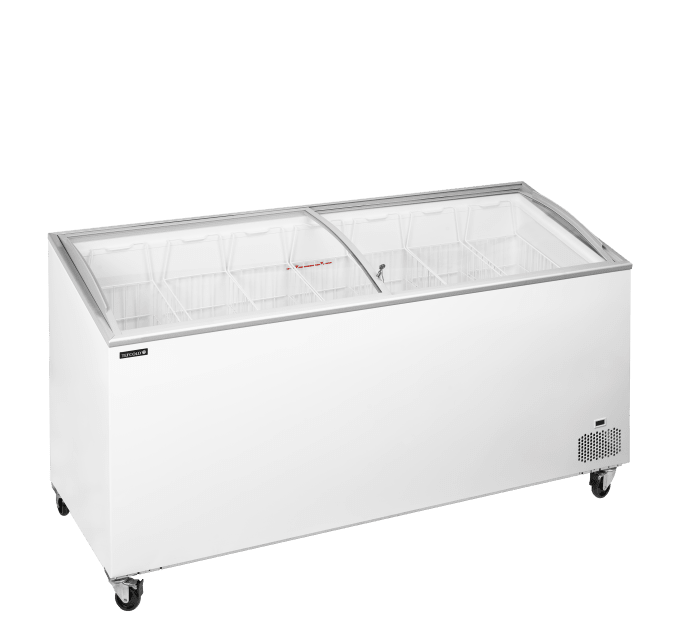 Congélateur de crème glacée TEFCOLD IC551SCEB