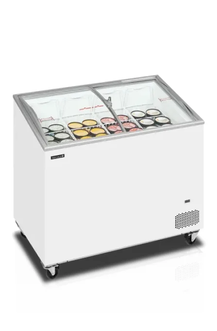 Congélateur de crème glacée TEFCOLD IC301SCEB